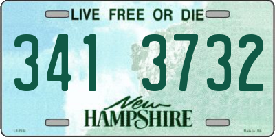 NH license plate 3413732