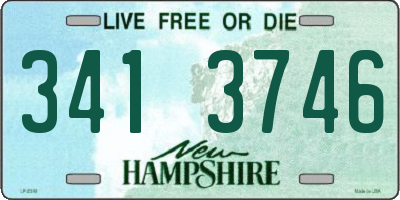 NH license plate 3413746
