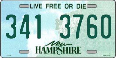 NH license plate 3413760