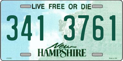 NH license plate 3413761