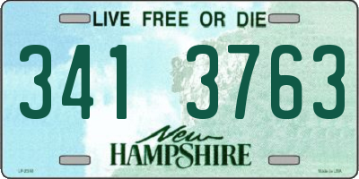 NH license plate 3413763