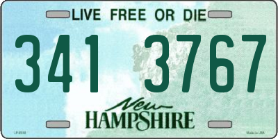 NH license plate 3413767