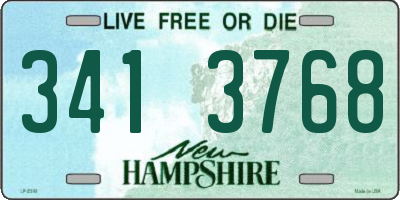 NH license plate 3413768