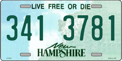 NH license plate 3413781