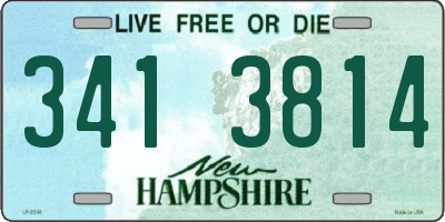 NH license plate 3413814