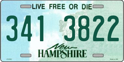 NH license plate 3413822