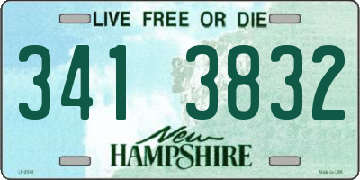 NH license plate 3413832