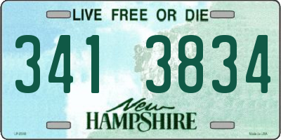 NH license plate 3413834