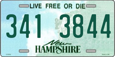 NH license plate 3413844