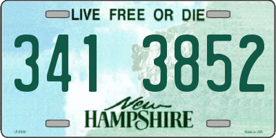 NH license plate 3413852