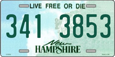 NH license plate 3413853
