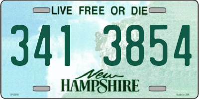 NH license plate 3413854