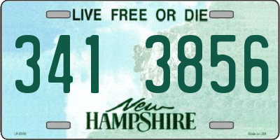 NH license plate 3413856