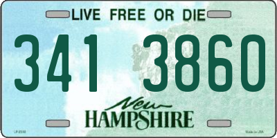 NH license plate 3413860