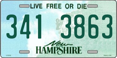 NH license plate 3413863