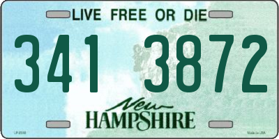 NH license plate 3413872