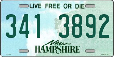 NH license plate 3413892