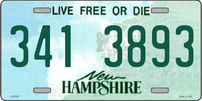 NH license plate 3413893