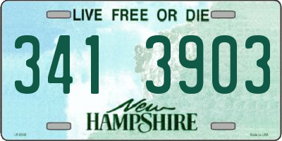 NH license plate 3413903