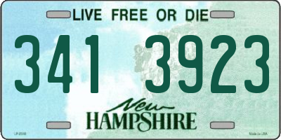 NH license plate 3413923