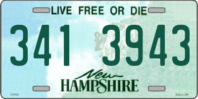 NH license plate 3413943