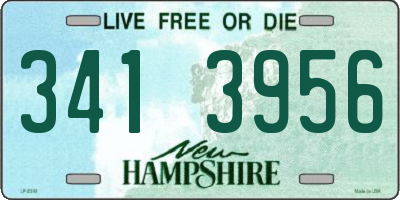 NH license plate 3413956