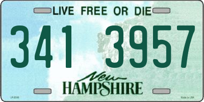 NH license plate 3413957