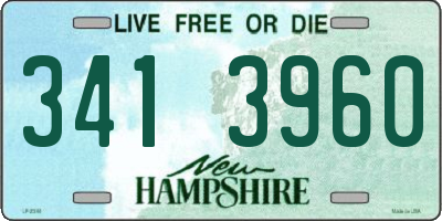 NH license plate 3413960
