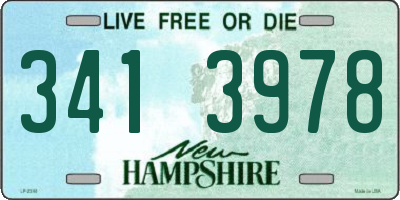 NH license plate 3413978