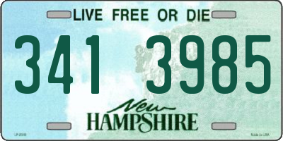 NH license plate 3413985