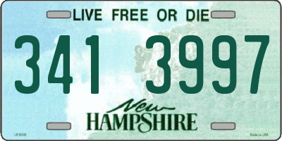 NH license plate 3413997