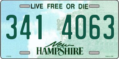 NH license plate 3414063