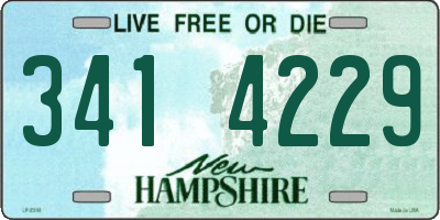 NH license plate 3414229