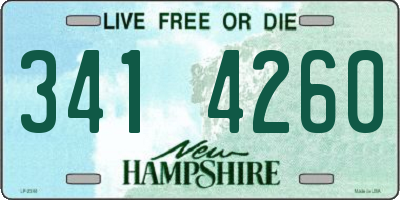 NH license plate 3414260