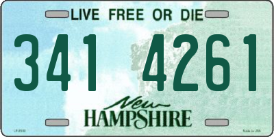 NH license plate 3414261