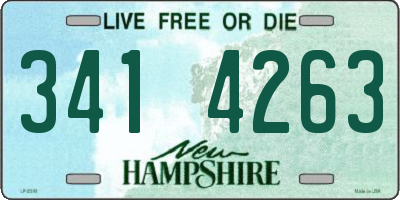 NH license plate 3414263