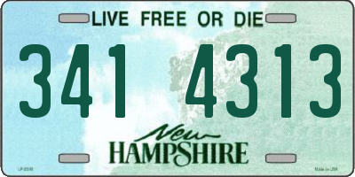 NH license plate 3414313
