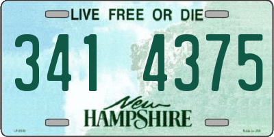 NH license plate 3414375