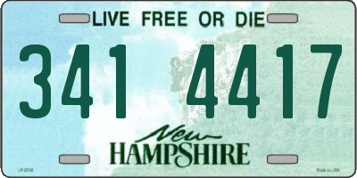 NH license plate 3414417