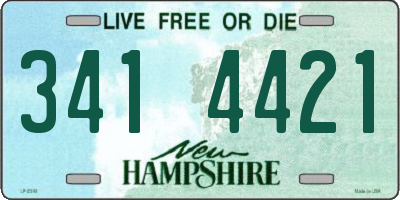 NH license plate 3414421