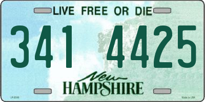 NH license plate 3414425