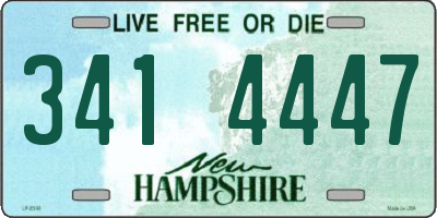 NH license plate 3414447