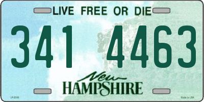 NH license plate 3414463