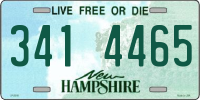 NH license plate 3414465