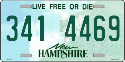 NH license plate 3414469