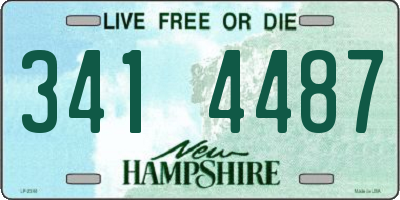 NH license plate 3414487