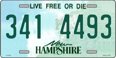 NH license plate 3414493
