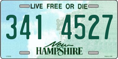 NH license plate 3414527