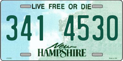 NH license plate 3414530