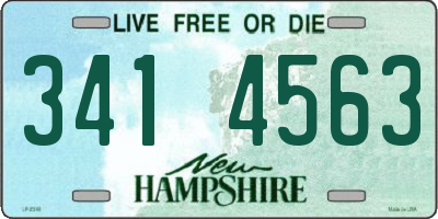 NH license plate 3414563